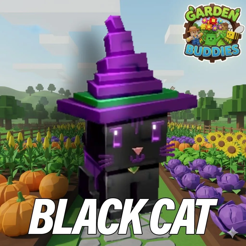 3x Black Cat Clean No Bug No Dupe Instant Delivery — Account account