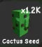 Cactus Seed