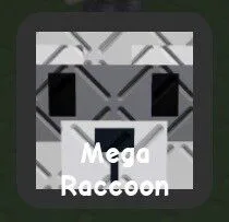 Raccoon
