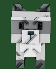 Raccoon NEW!! — Account account