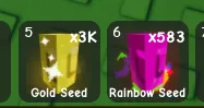 Rainbow Seed — Account account
