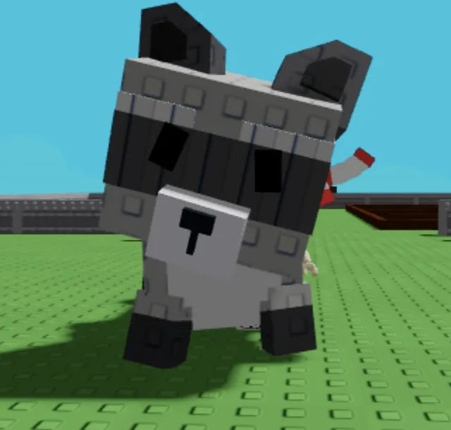 RACCOON 100 REAL STOCK