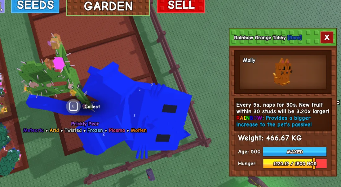 466.67kg+ Rainbow Orange Tabby Rare // super handsome // Age 500 Maxed // 3.20x Larger Fruit Passive