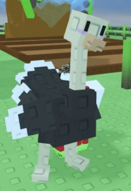 OSTRICH