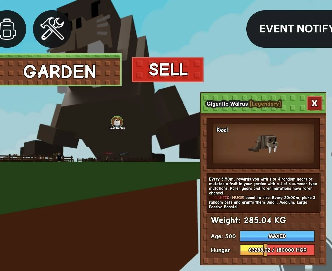 Huge GIGANTIC Walrus - 285.04 KG (Age 500)