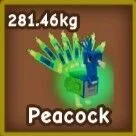 180KG+ Peacock Age 500