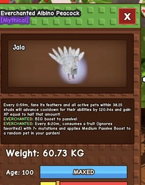 ALBINO PEACOCK — Account account