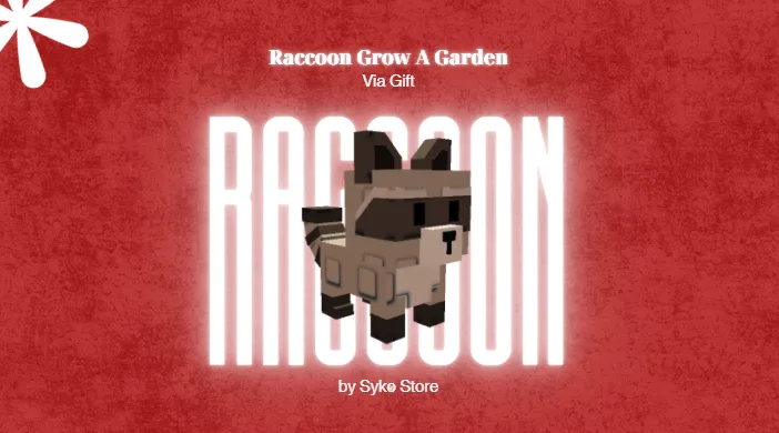 RACCOON RANDOM KG/WEIGHT CHEAPEST AND INSTANT DELIVERY