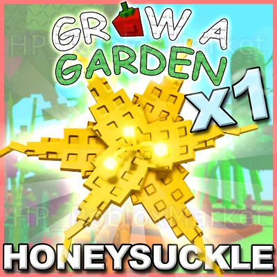 HONEY SUCKLE SEED INSTANT DELIVERY you will recieve the seed in ur account — Account account