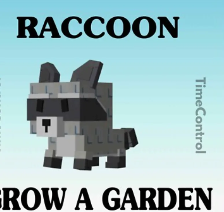 Raccoon (Super) — Account account