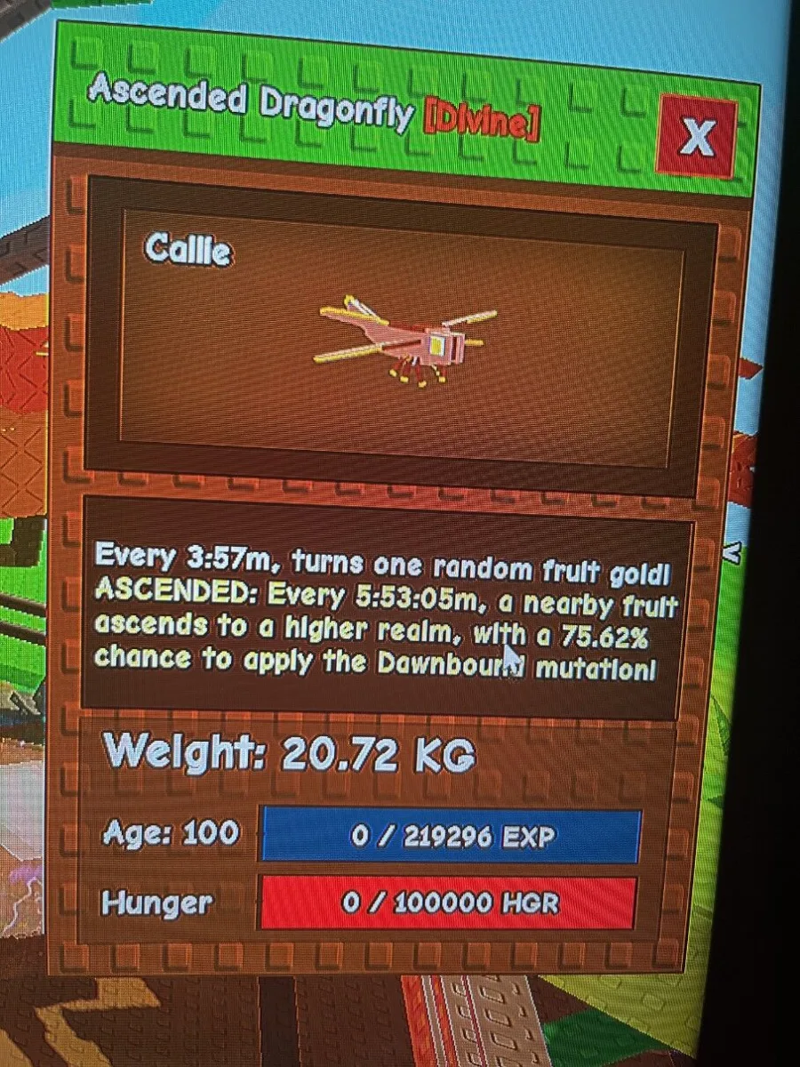 Age - 100 20kg