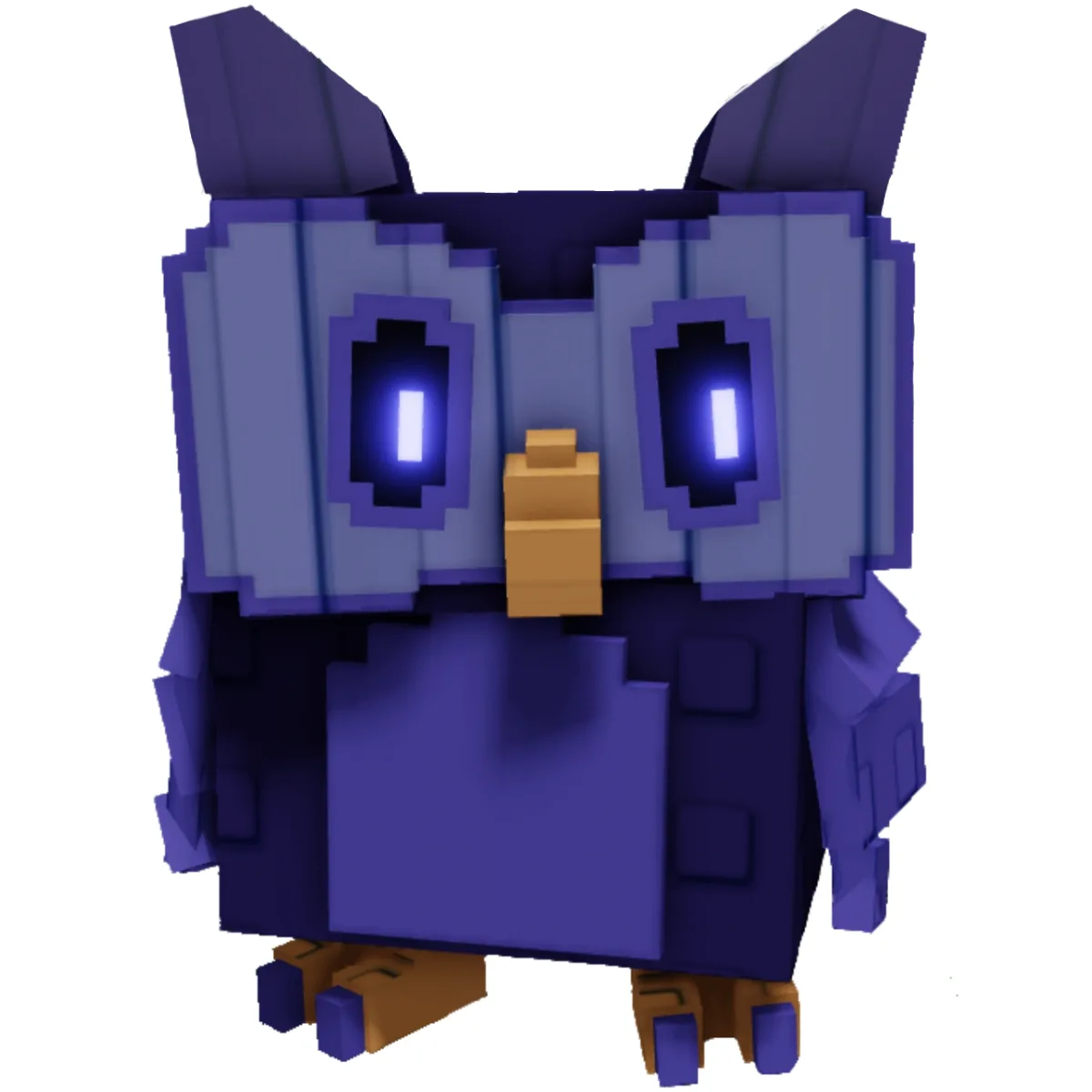 Night Owl Pet