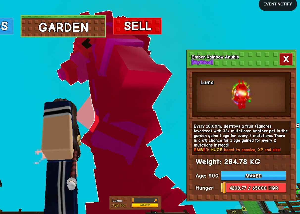 280KG+ Ember Rainbow Anubis Mythical // super handsome // Age 500 MAXED // Mutation Machine // Huge Pet//not red fox//i run out of tag others limita