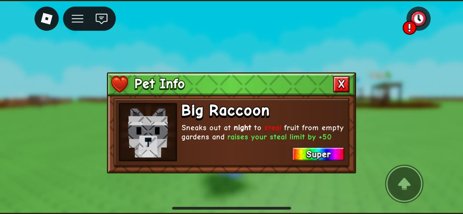 Raccoon (Super)