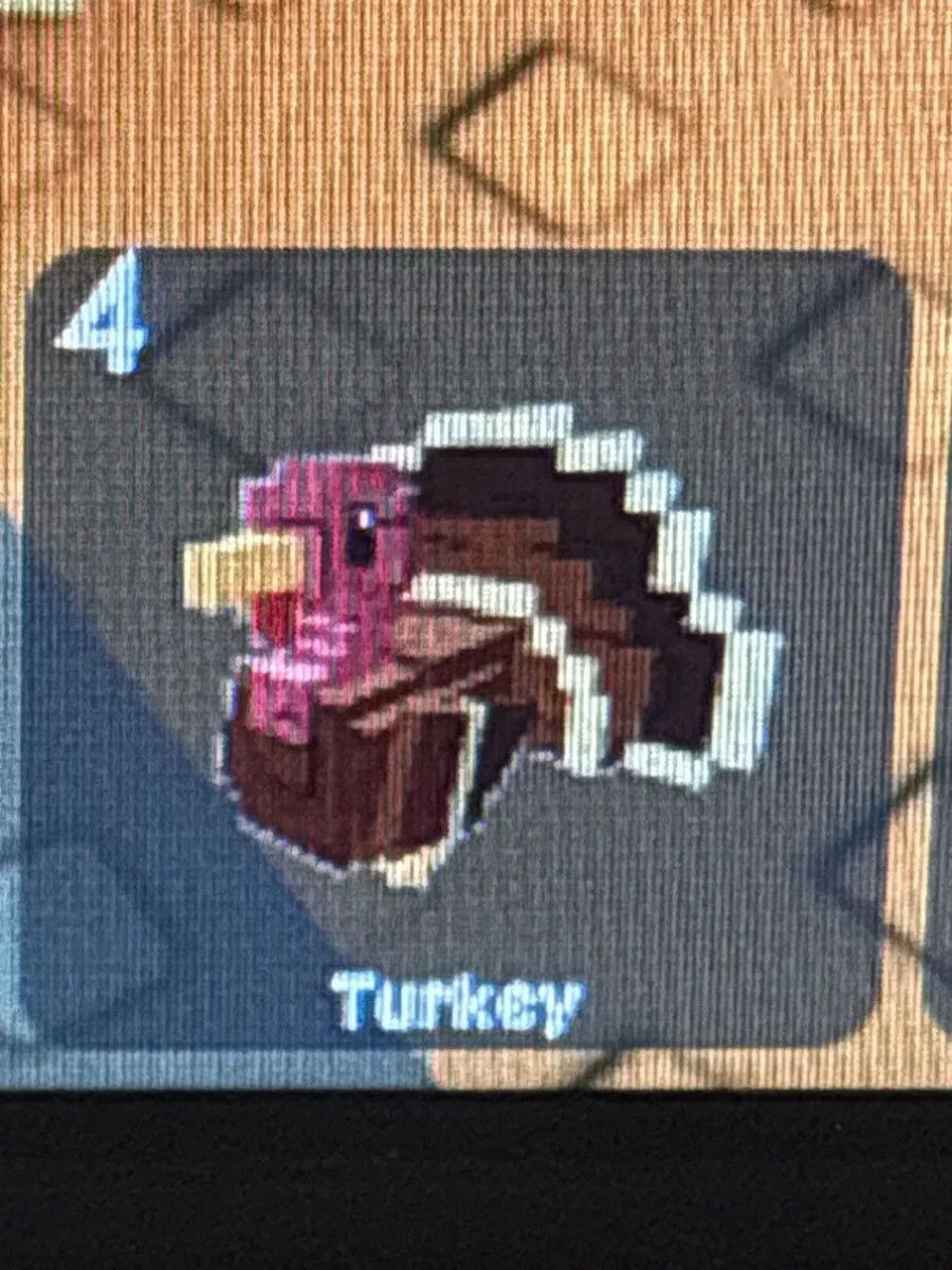 1x Turkey (Rare)