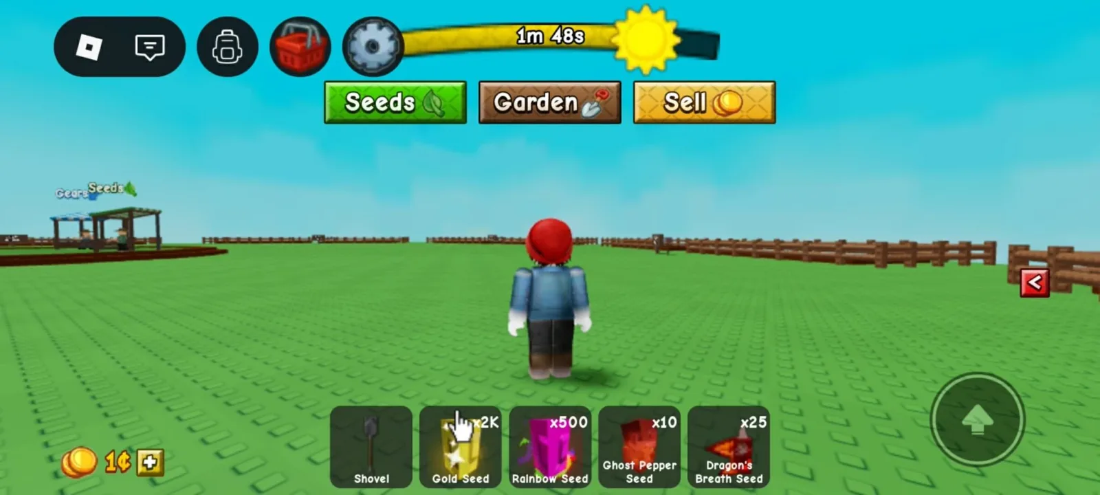 Rainbow Seed (Super) — Account account