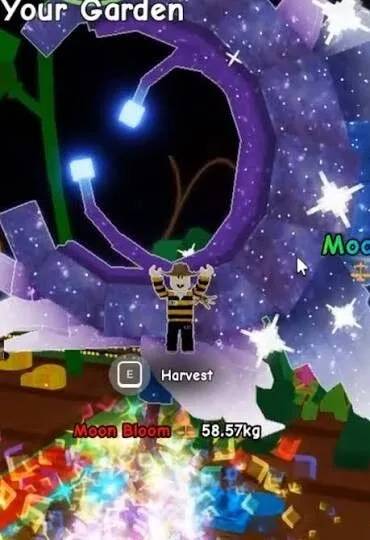 40kg+ Moonbloom Fruit (Super)