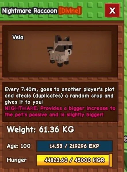 Raccon 61kg+++ Nightmare