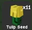 Tulip Seed