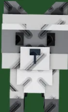 Raccoon (Super)