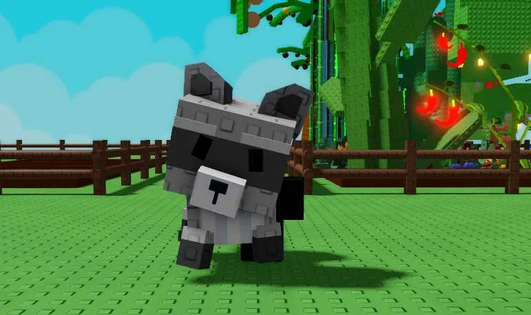 Raccoon