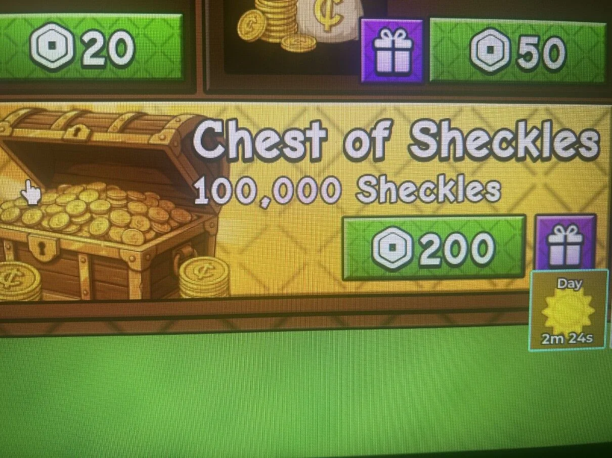 100,000 Sheckles — Account account
