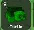 Turtle (Rare)
