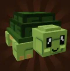 Turtle (Rare)