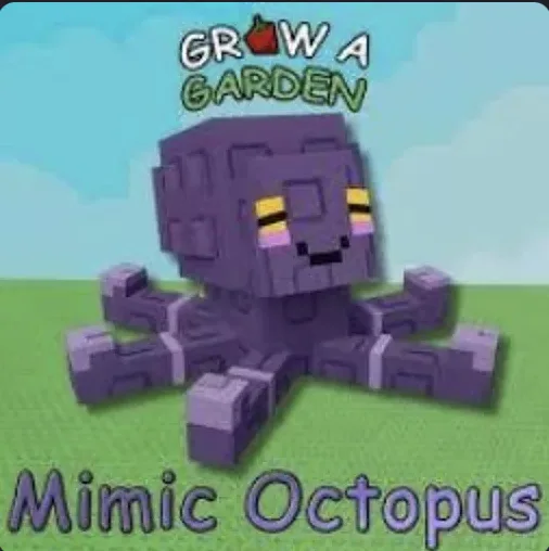 Mimic Octopus — Account account