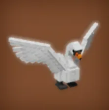 Swan