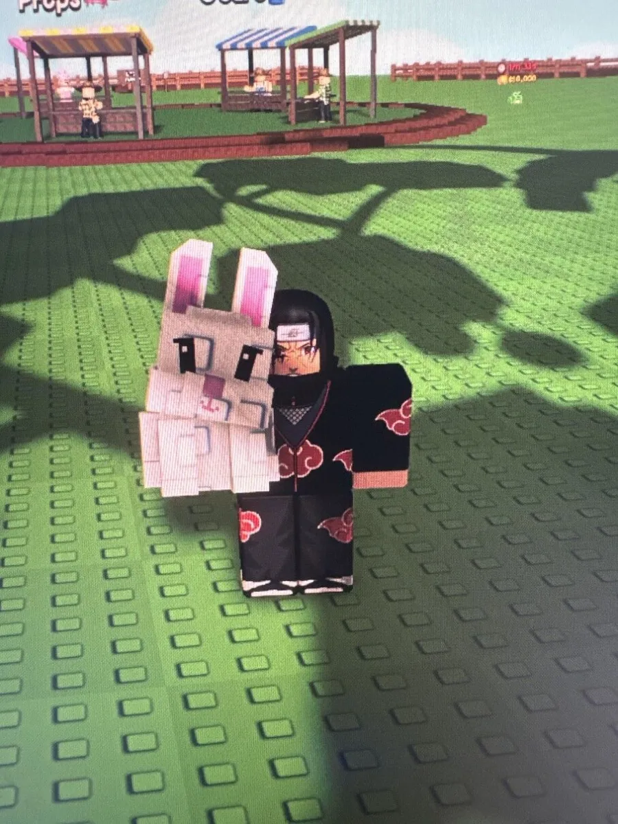 Bunny rabbit pet gag 2 — Account account