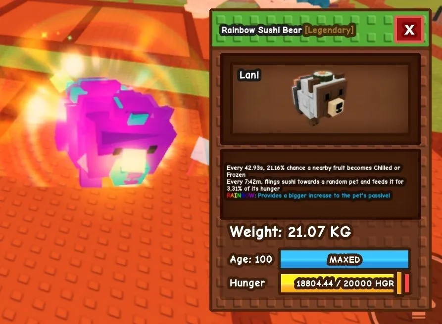 RAINBOW Sushi Bear - 21.07 KG (Age 100)