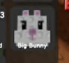 Bunny (Common) — Account account