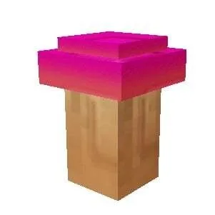 Maple Mushroom Seed