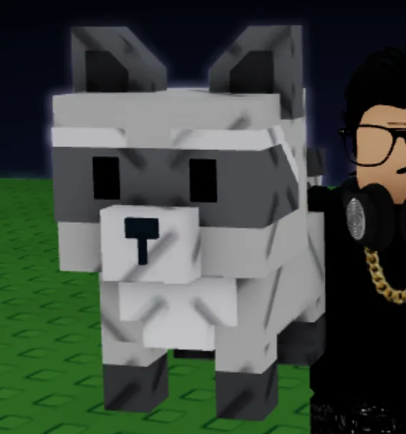 Raccoon (Super) — Account account