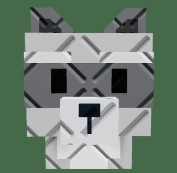 Raccoon (Super)