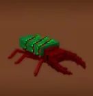 Pine Beetle