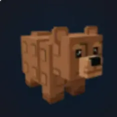 Bear (Rare)