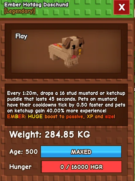 280kg+ Ember Hotdog Daschund super handsome and cute// this is not raccoon/ i run out of limitation tag// this is hotdog handsome — Account account