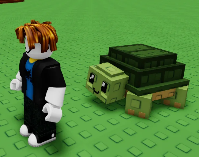 Turtle (Rare)