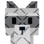 Raccoon (Super)