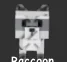 Raccoon (Super)