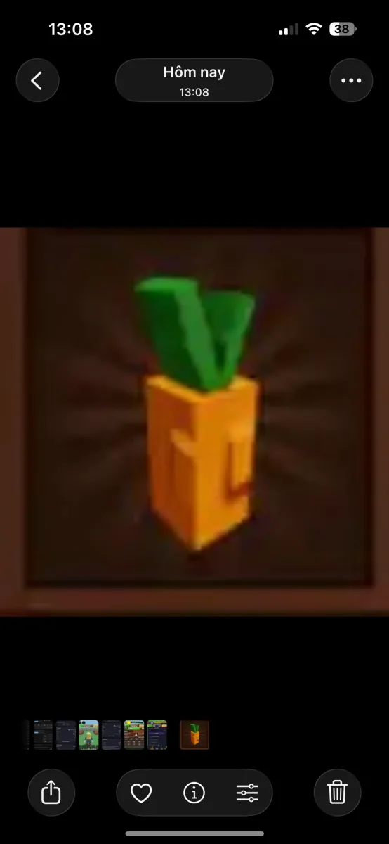Carrot Seed — Account account