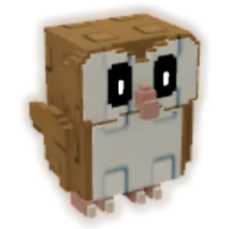 Barn Owl