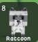 Raccoon — Account account