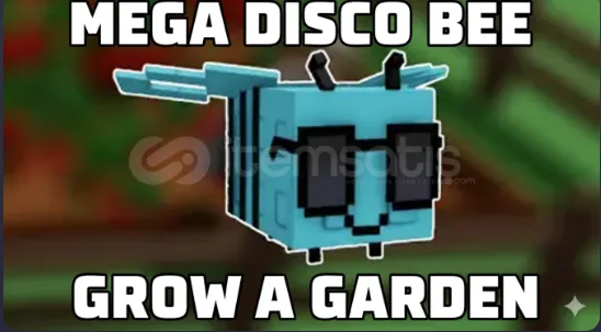 Mega Disco Bee — Account account