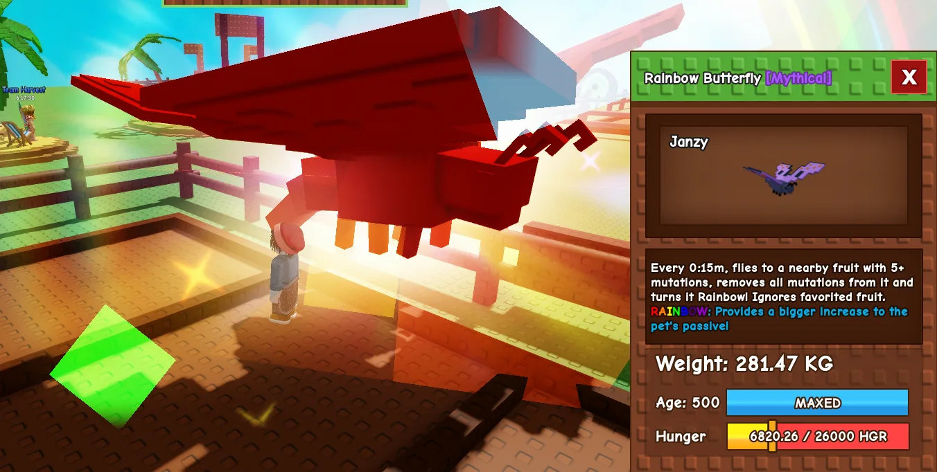 282.76kg+ Rainbow Butterfly
