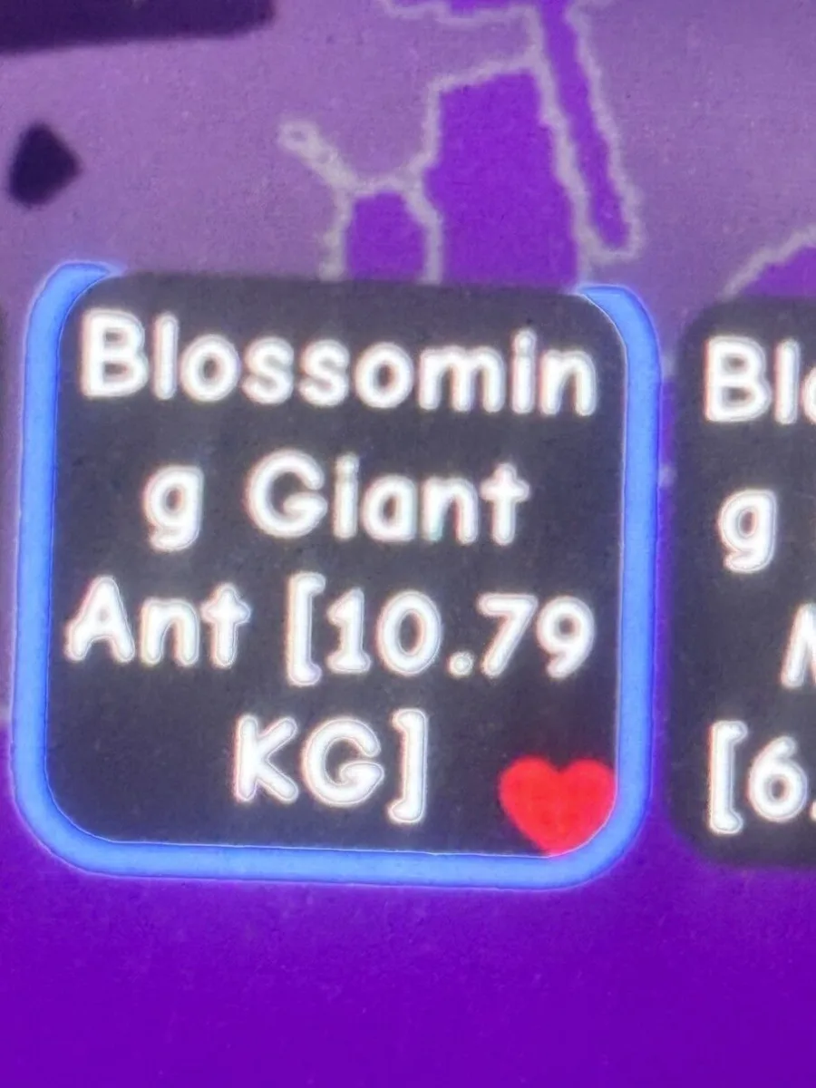 READY TITAN BLOSOMMING GIANT ANT 107 KG Grow A Garden