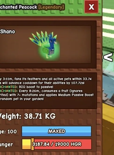 39kg peacock — Account account