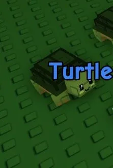 Turtle (Rare)